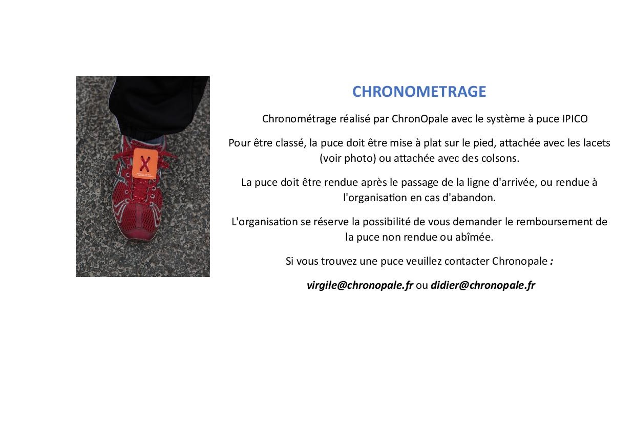 puces au pied